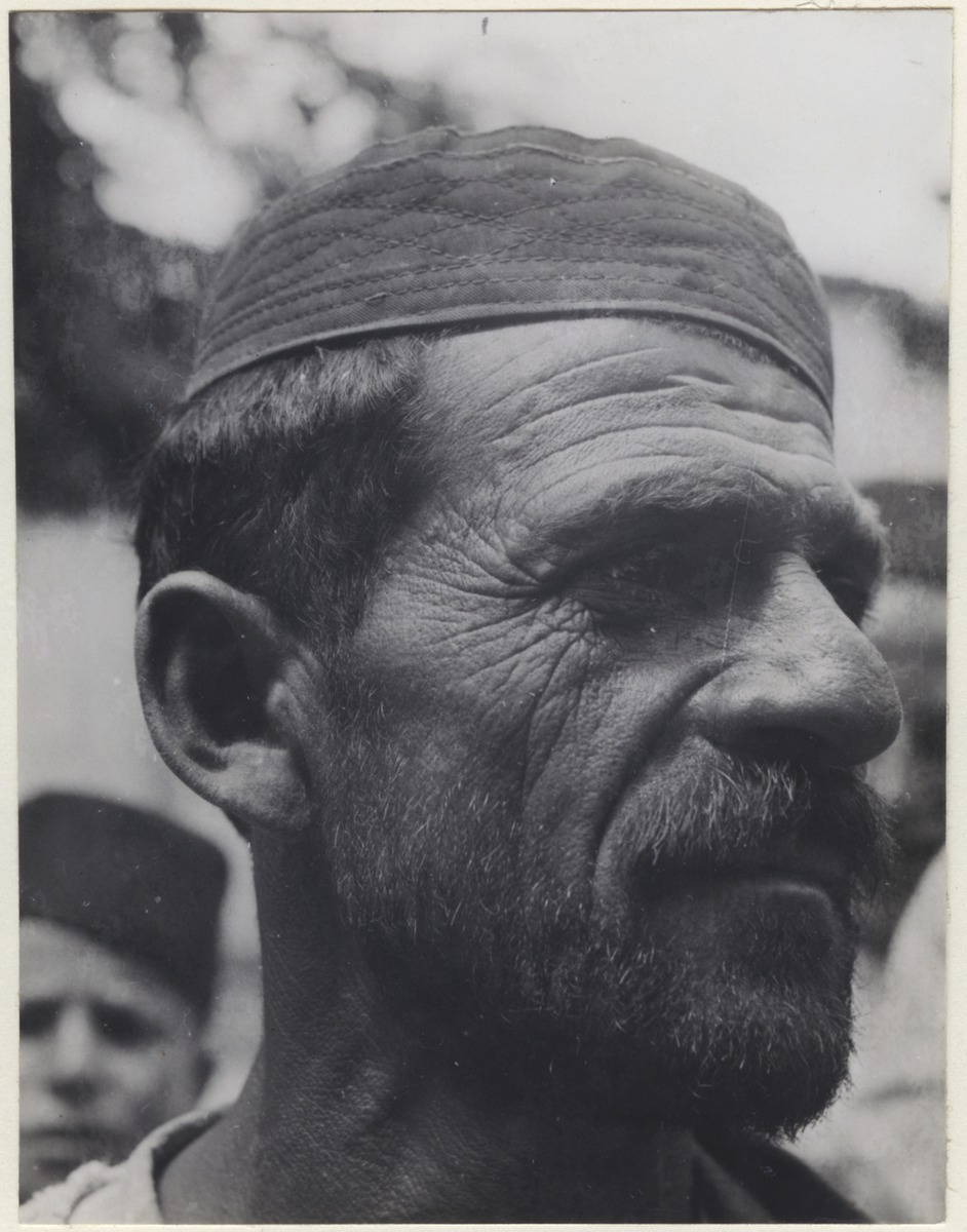Bauer