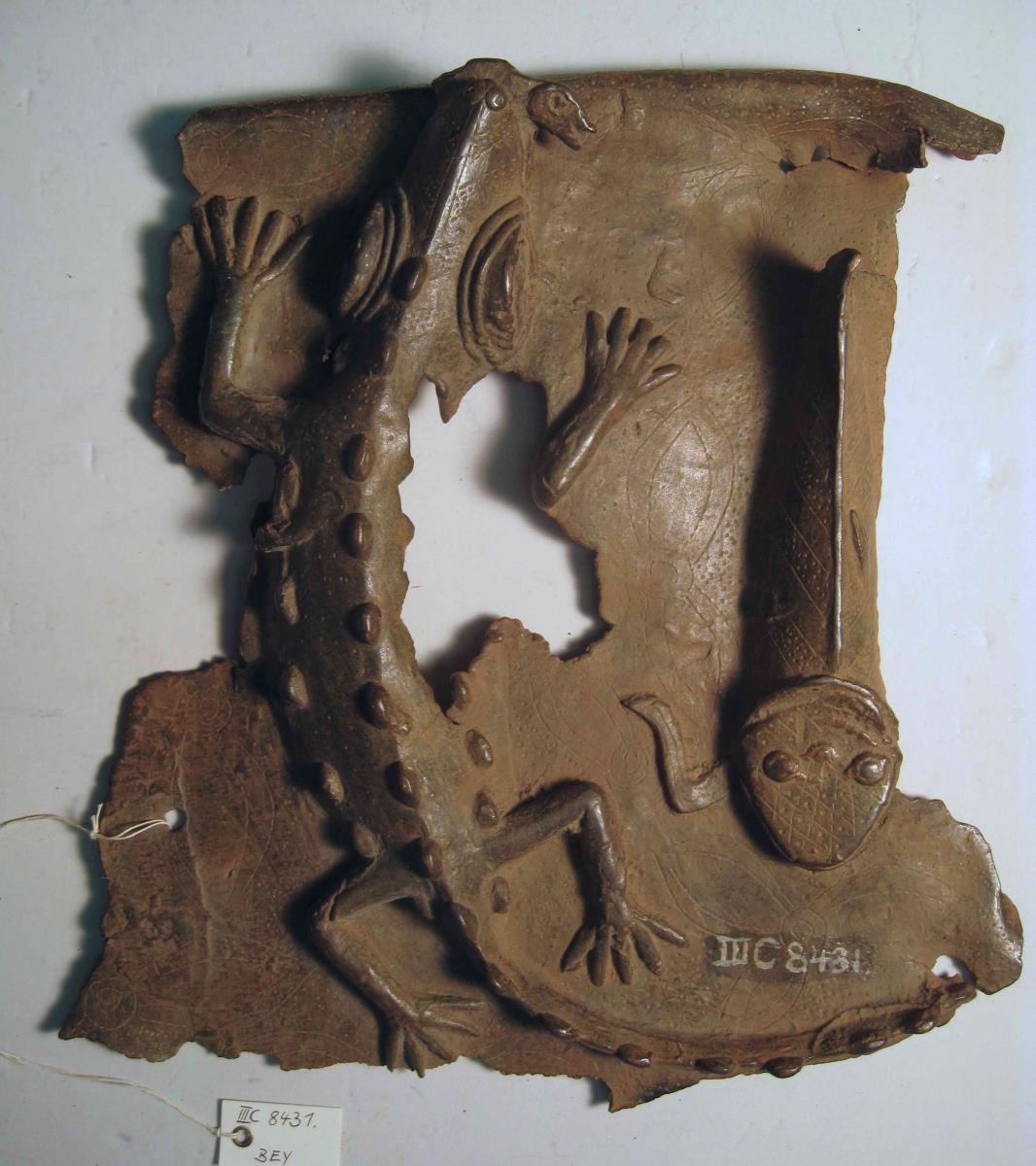 Krokodil und Fisch