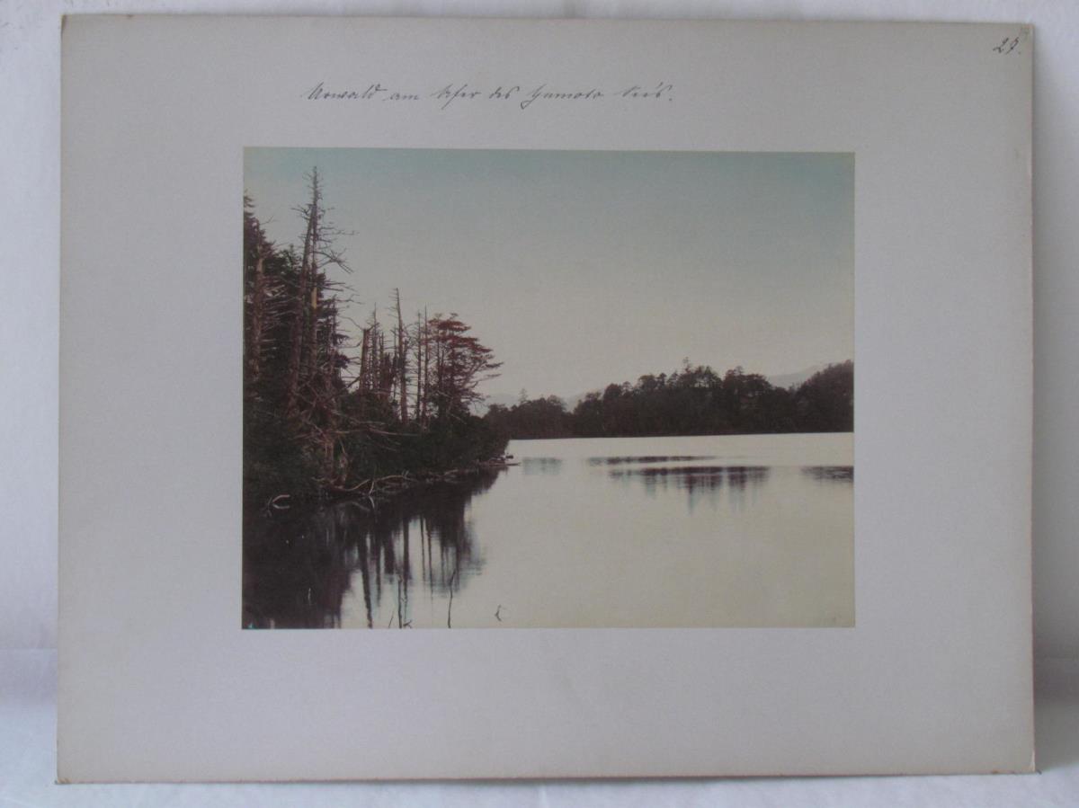Urwald vom Ufer des Yumoto Sees