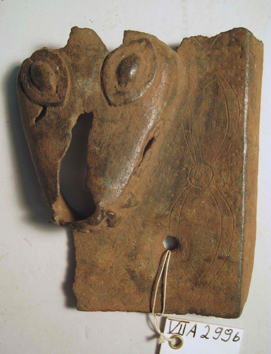 Schlangenkopf (Head of a snake)