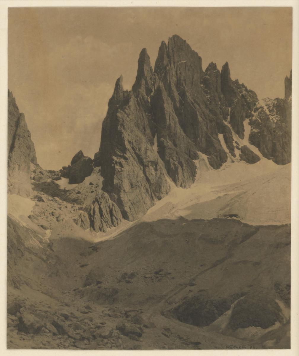 Fünffingerspitze