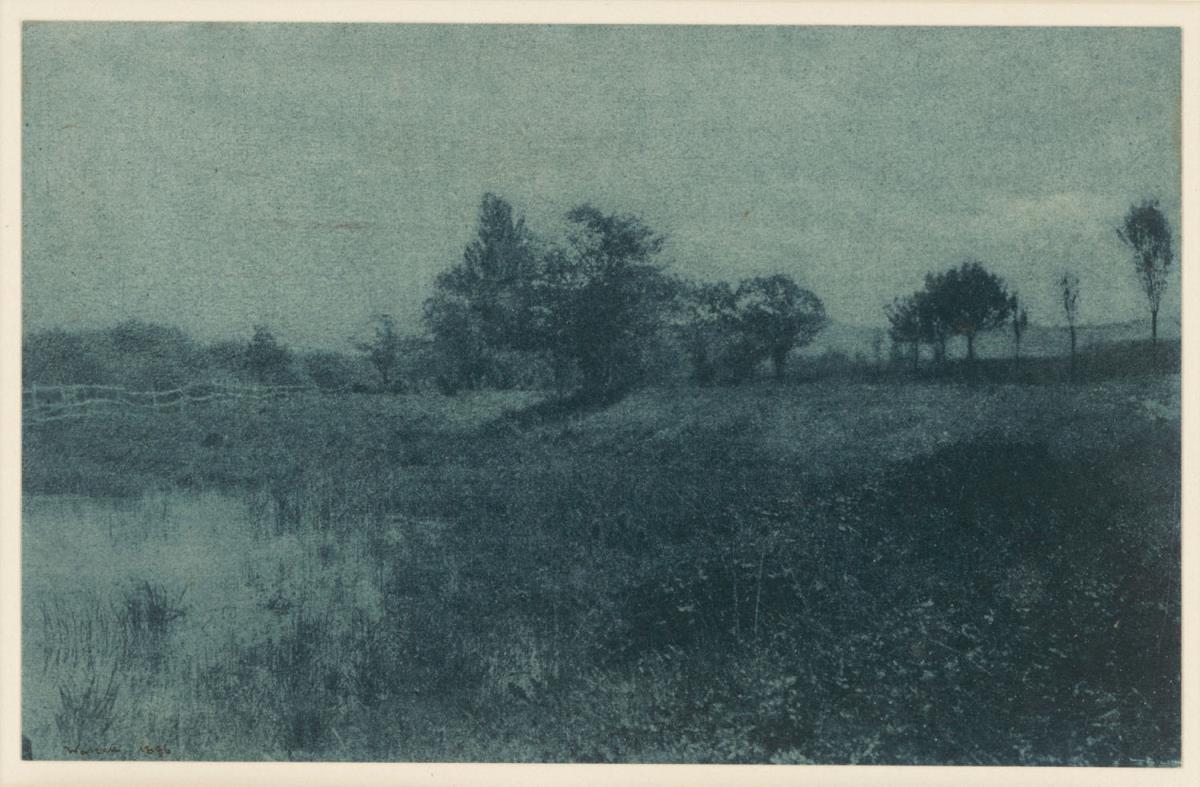 Sumpfige Wiese