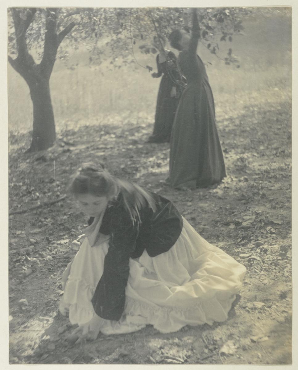 The Orchard