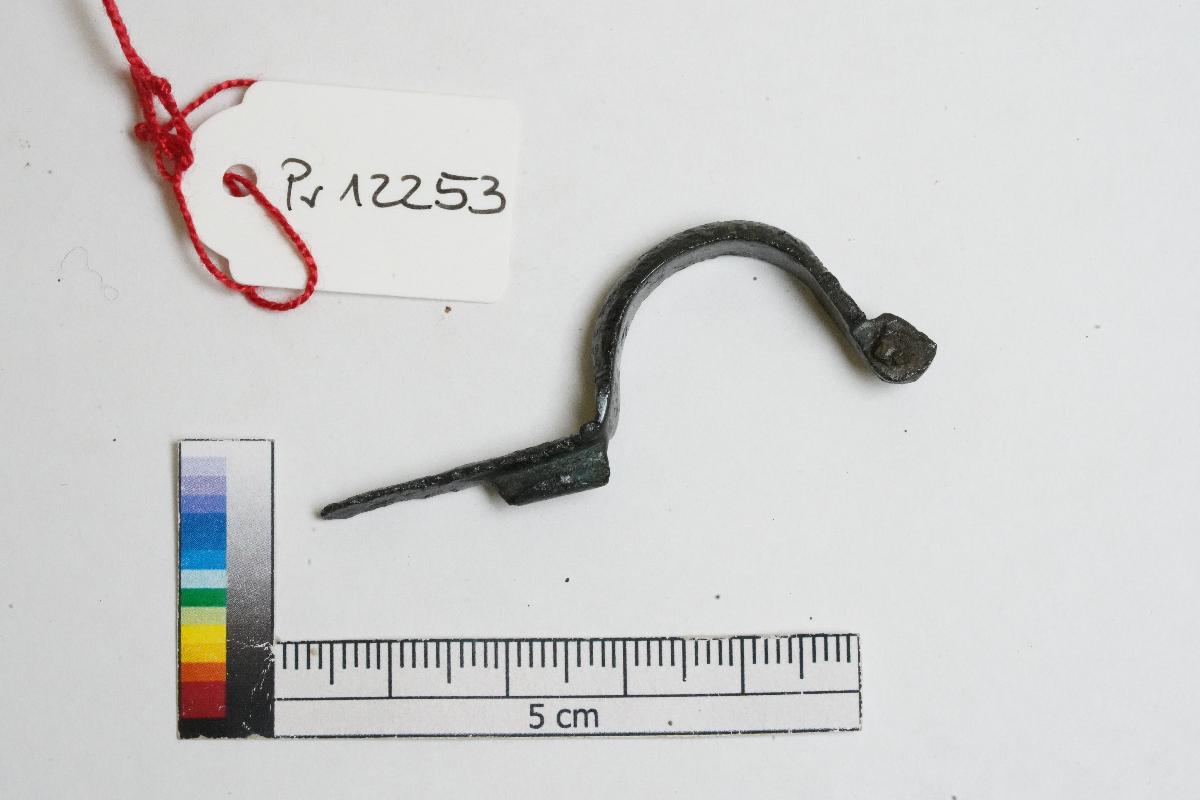 Armbrustfibel