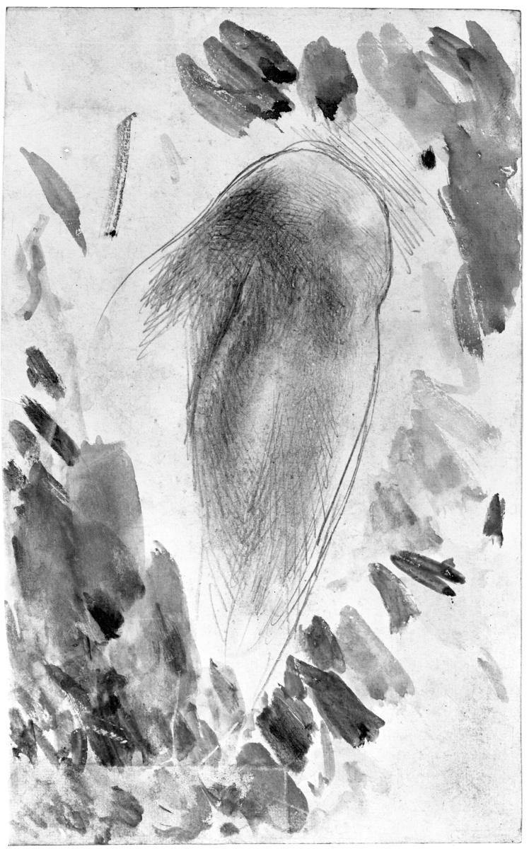 Beinstudie und farbige Pinselabstriche