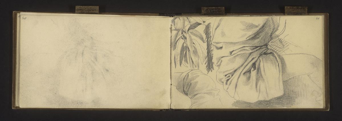 Blätterstudie: Oleander, zwei Ärmelstudien