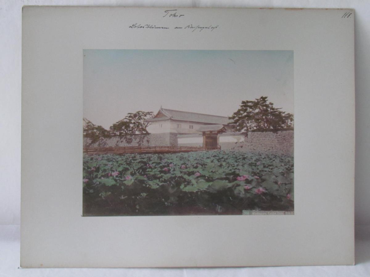 Tokio. Lotosblüten am Königspalast