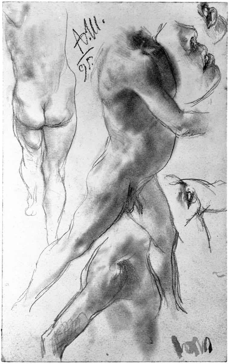 Akt- und Gesichtsstudien eines Knaben. Modellstudie zum "Akademieblatt" 1896