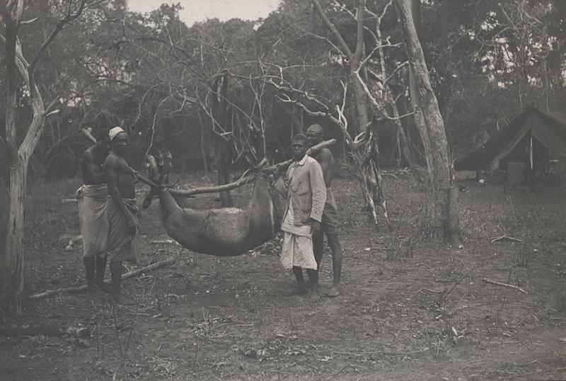 Niumrum Jyrbruh  (weiblicher Wasserbock) = „ndogoro“ am Kiulimira Teich