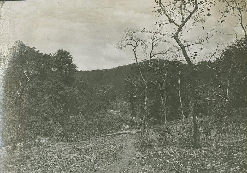 Blick ins Msomwesi - Tal