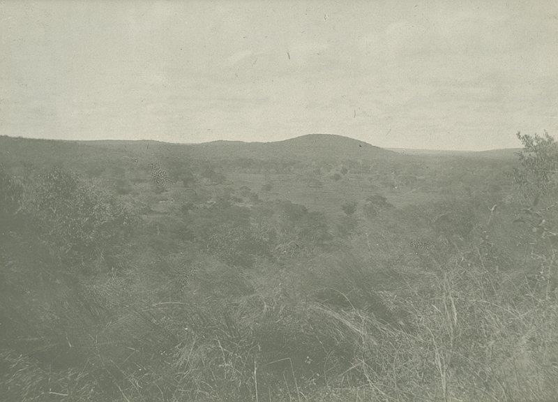 Quarzit-Sandstein-Berge nördlich Usongo. Blick auf meinen Lagerplatz von N.W.