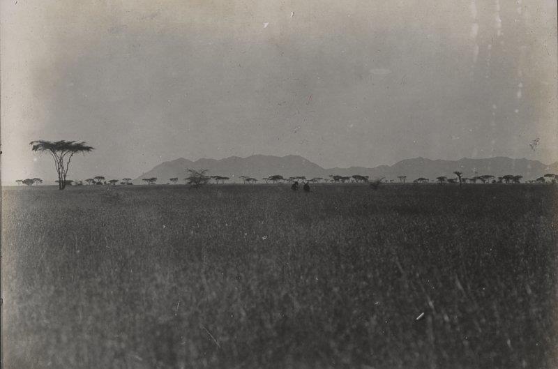 Die Ruwana - Steppe. Im Hintergrund die Barigi - Berge in Uschasch.  7 h 57