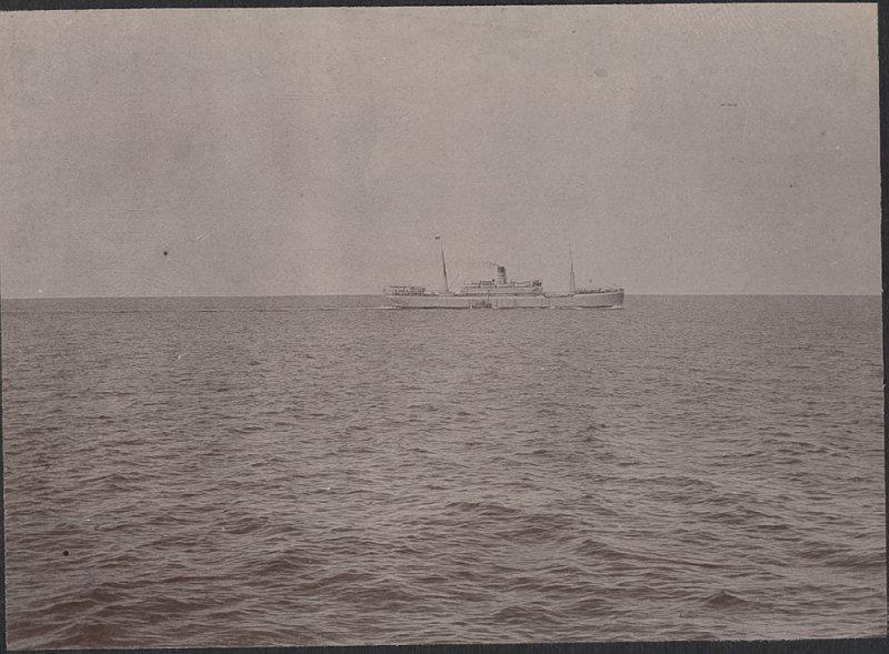 Der "Bügermeister" der D.O.A.L. im Roten Meer.