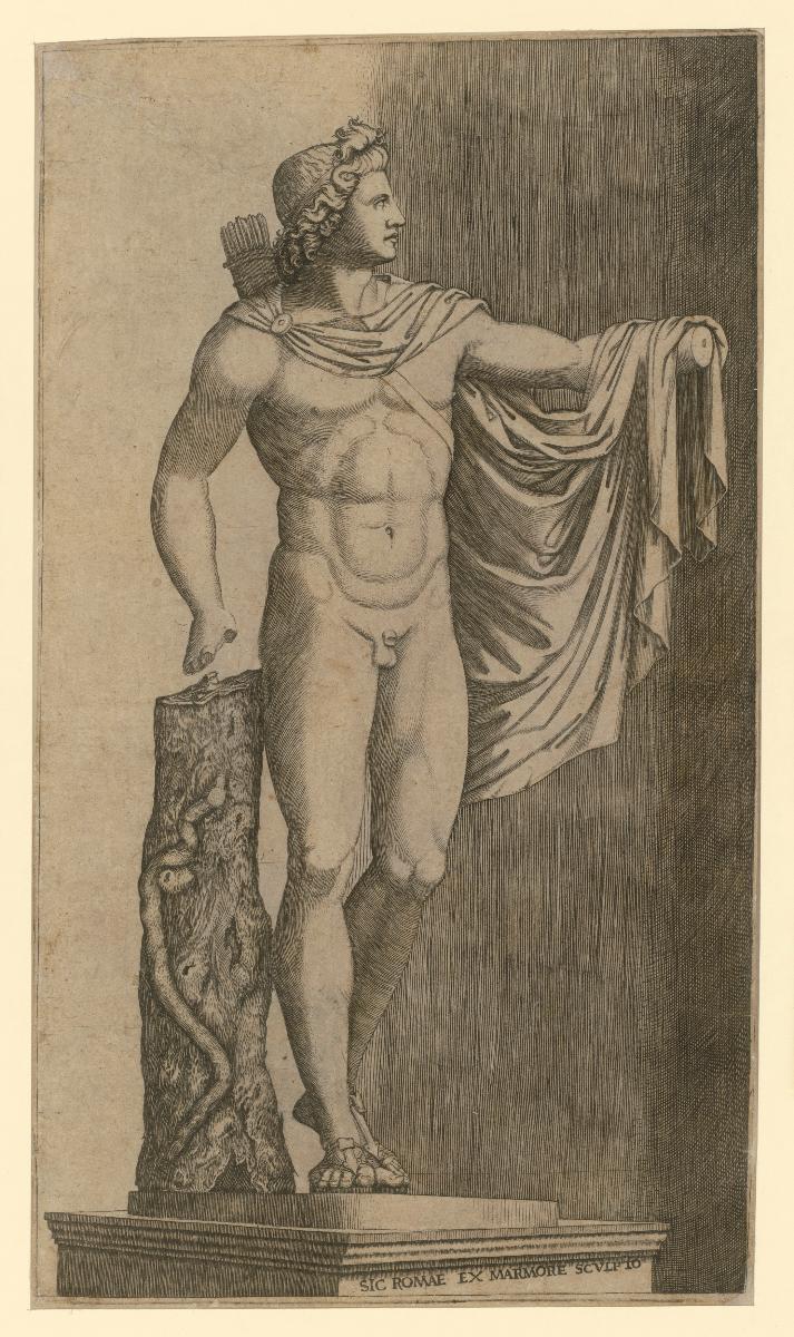 Apollo Belvedere