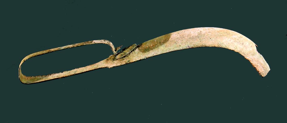 Strigilis