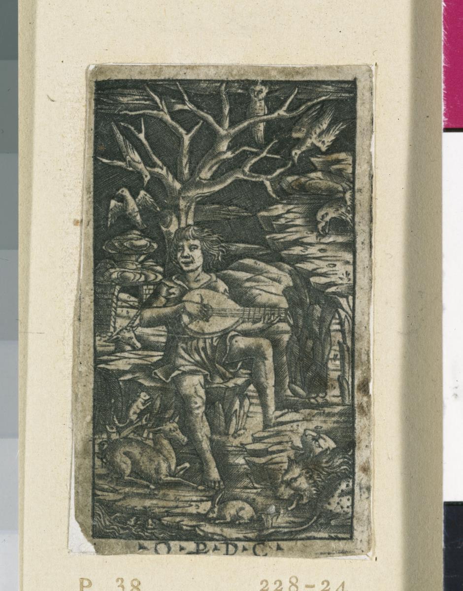 Orpheus
