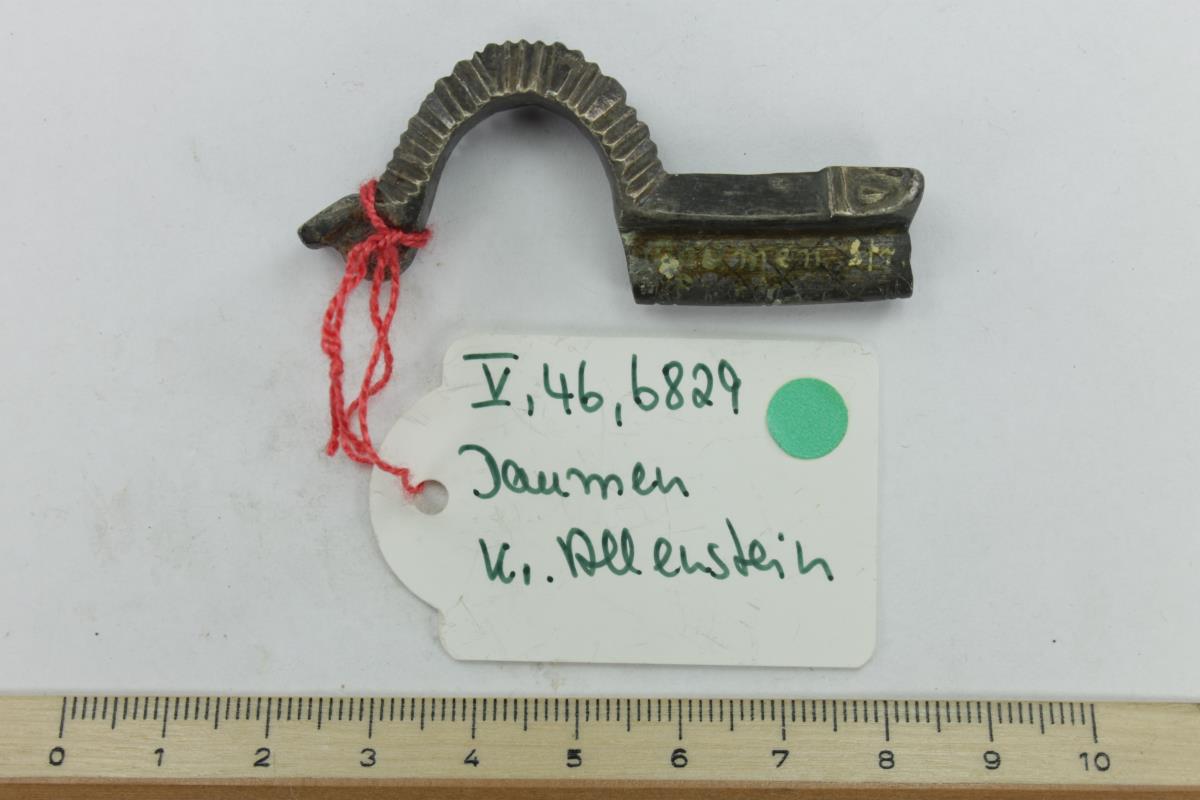Armbrustfibel