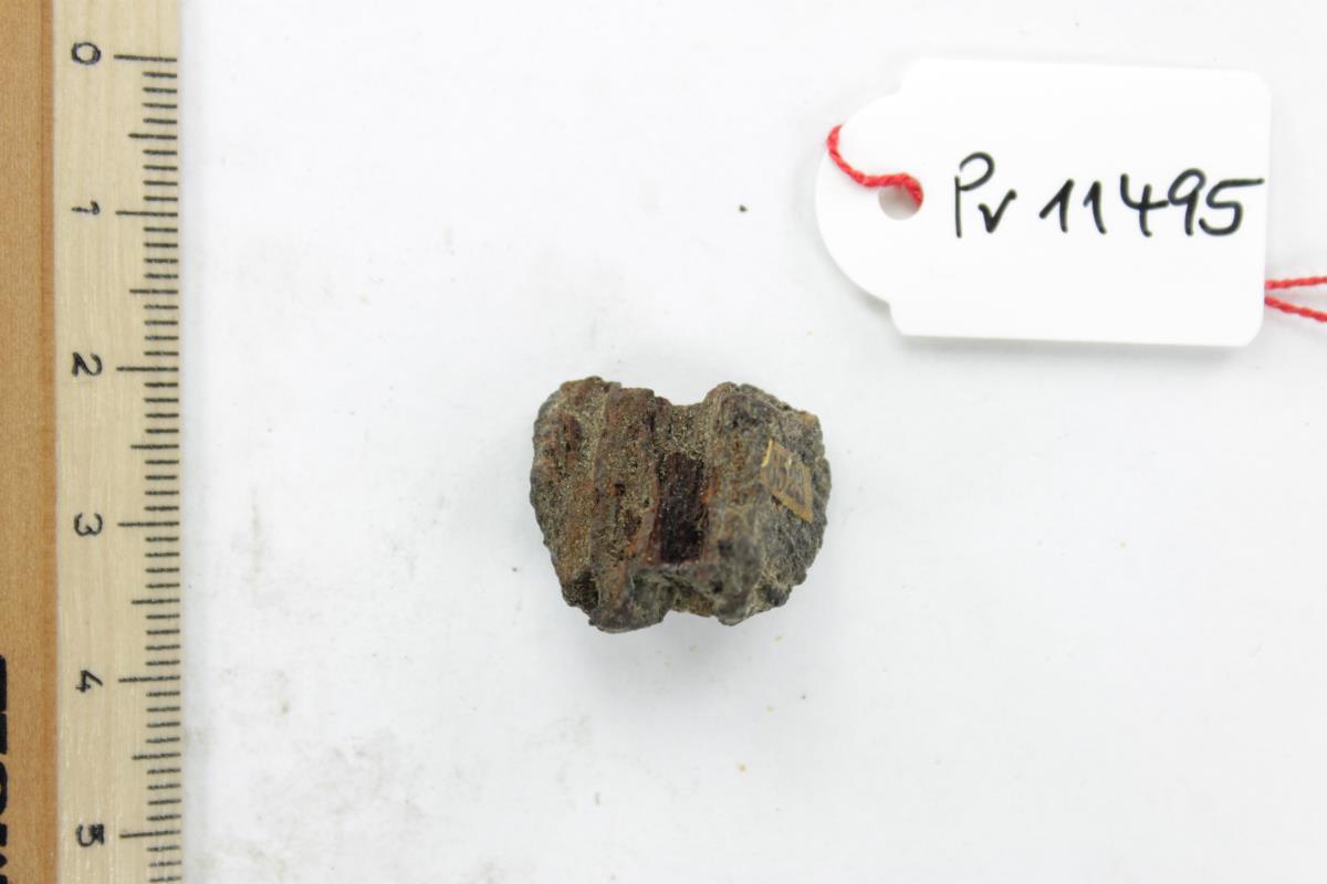 Holzfragment