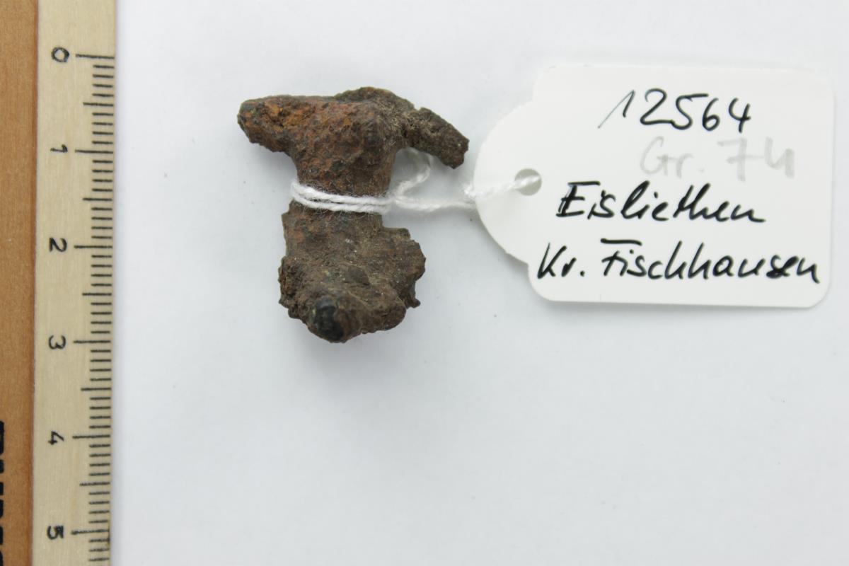 Fibelfragment
