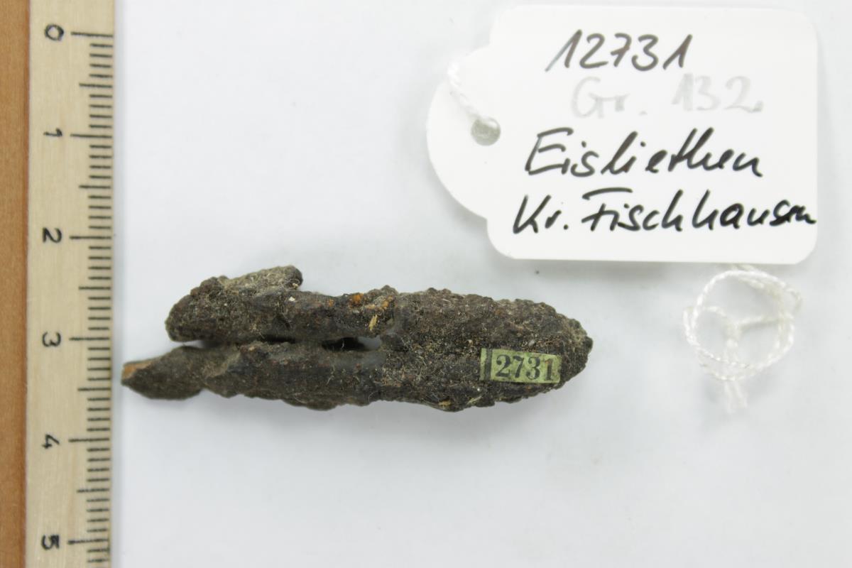 Fibelfragment