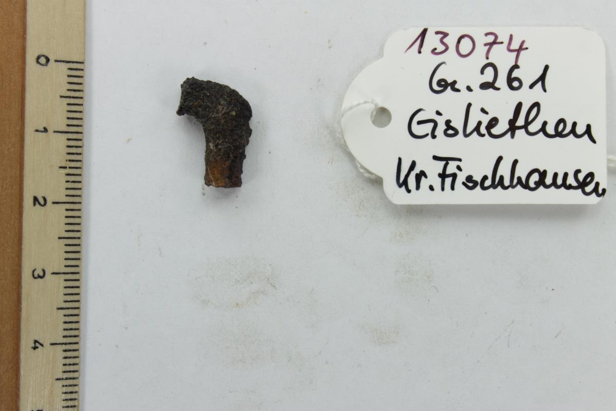 Gürtelschnalle