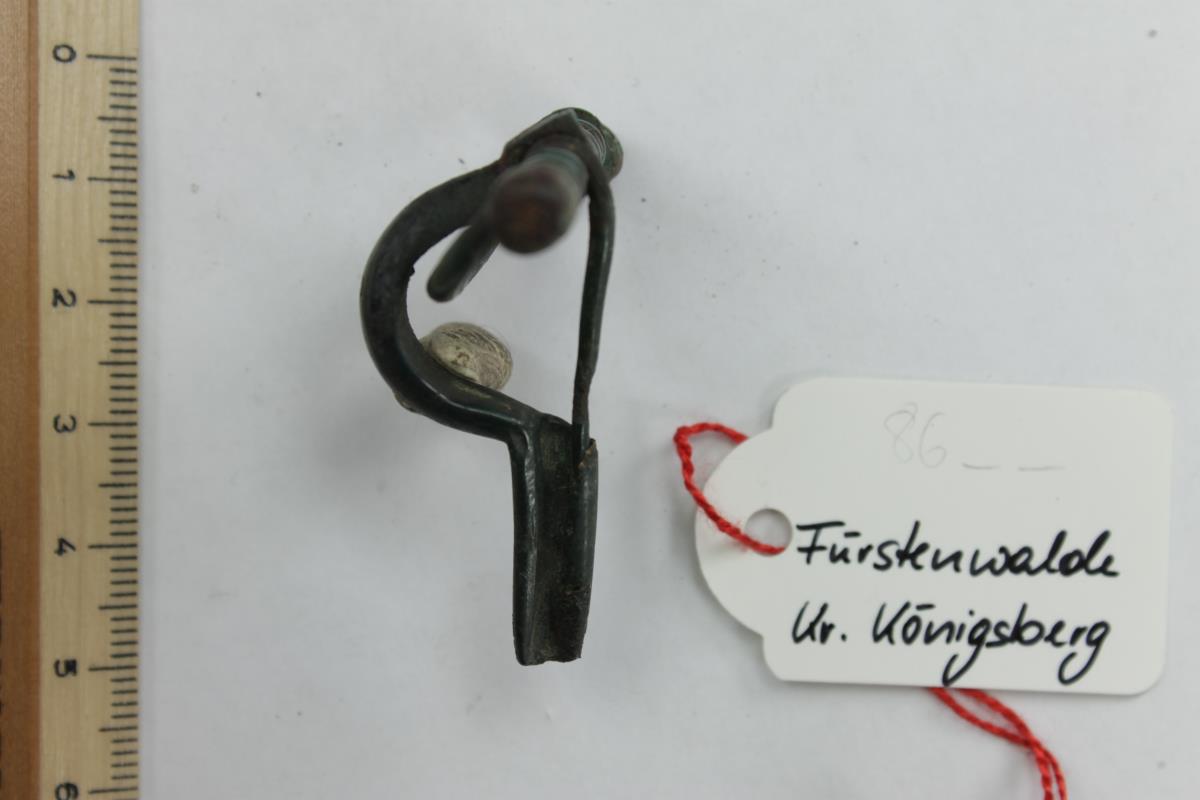Armbrustfibel