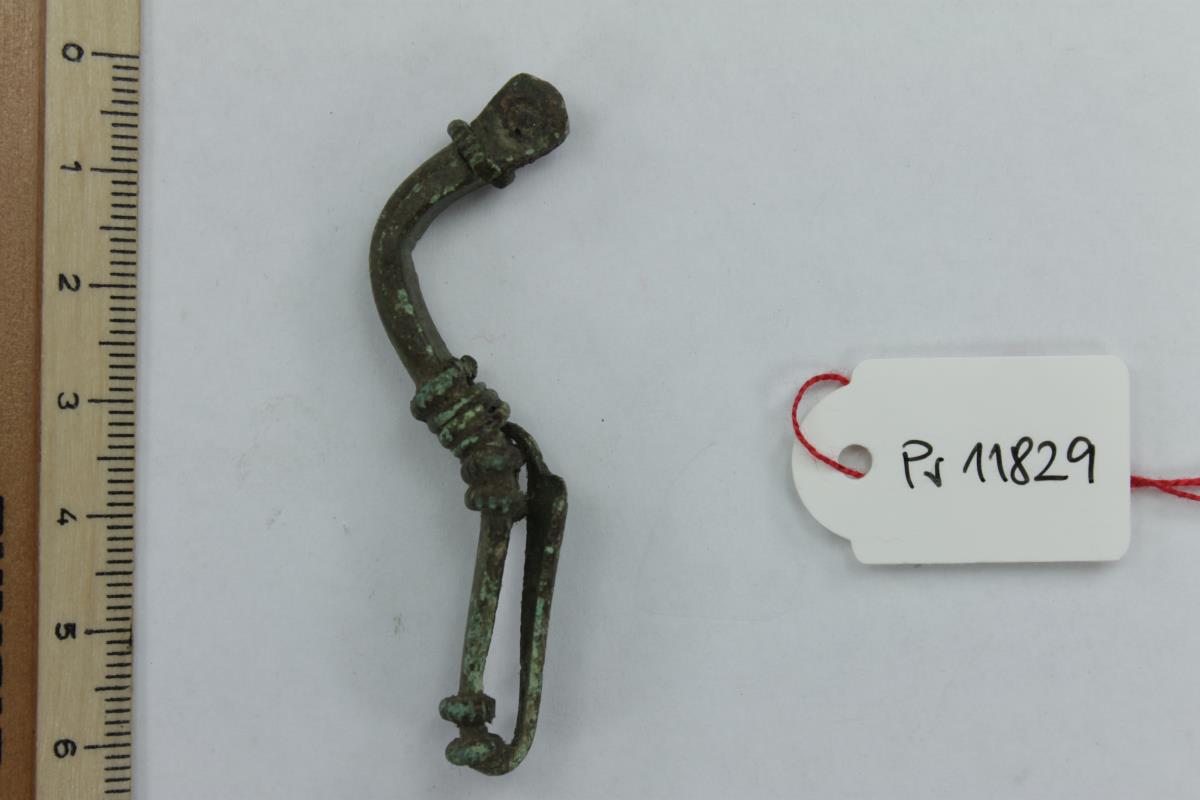 Armbrustfibel