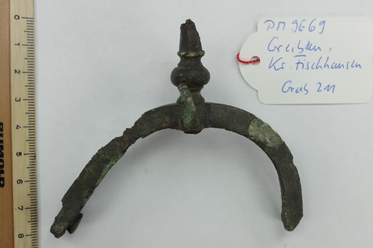 Reitsporn