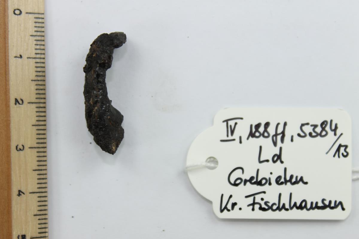 Fibelfragment