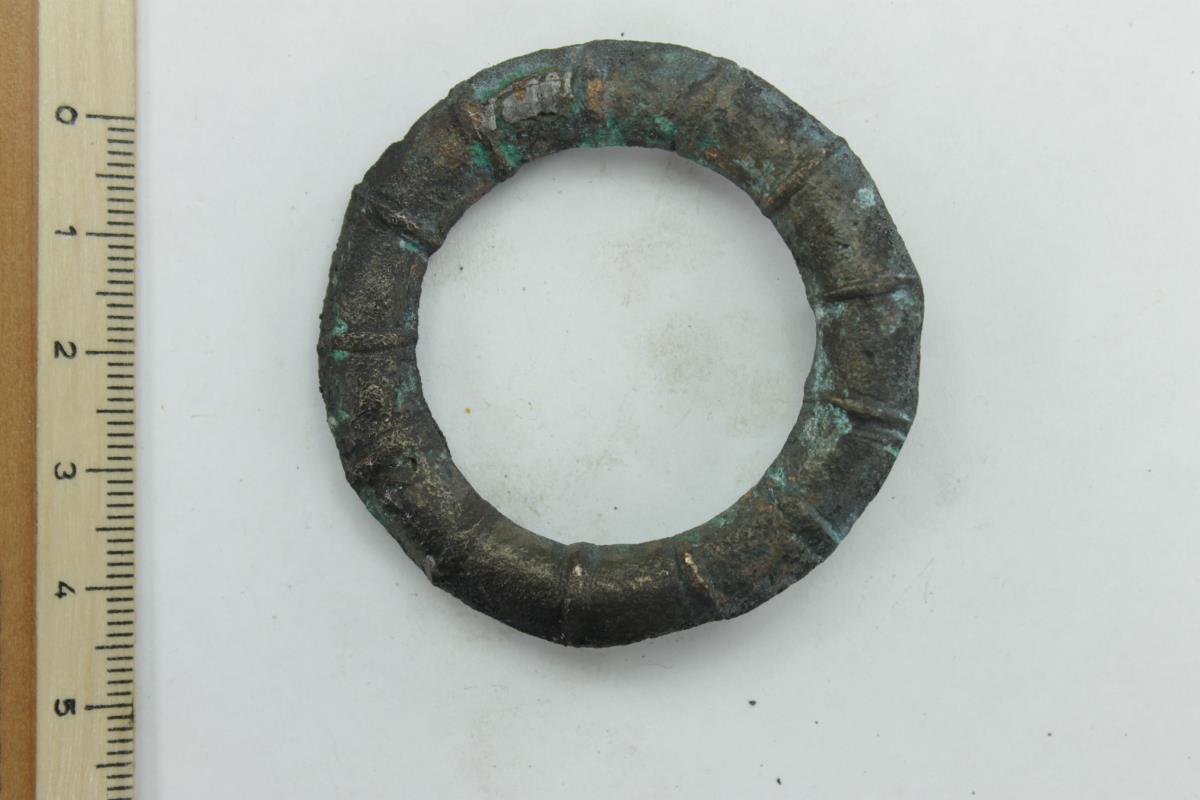 Ringfibel