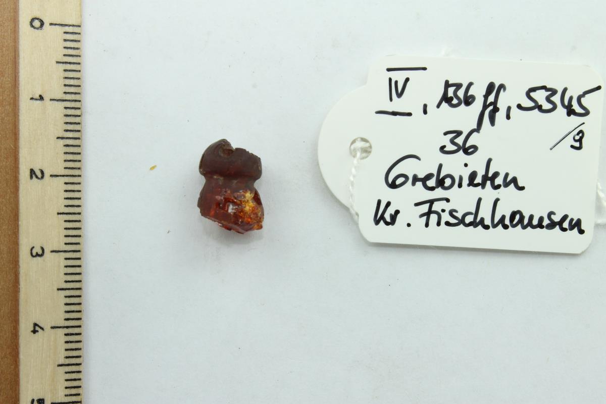 Bernsteinanhänger
