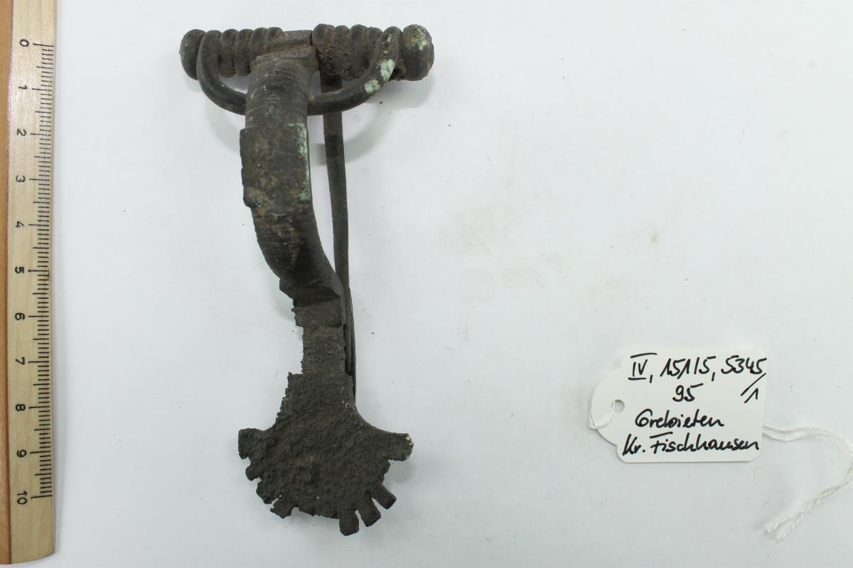 Sternfußfibel