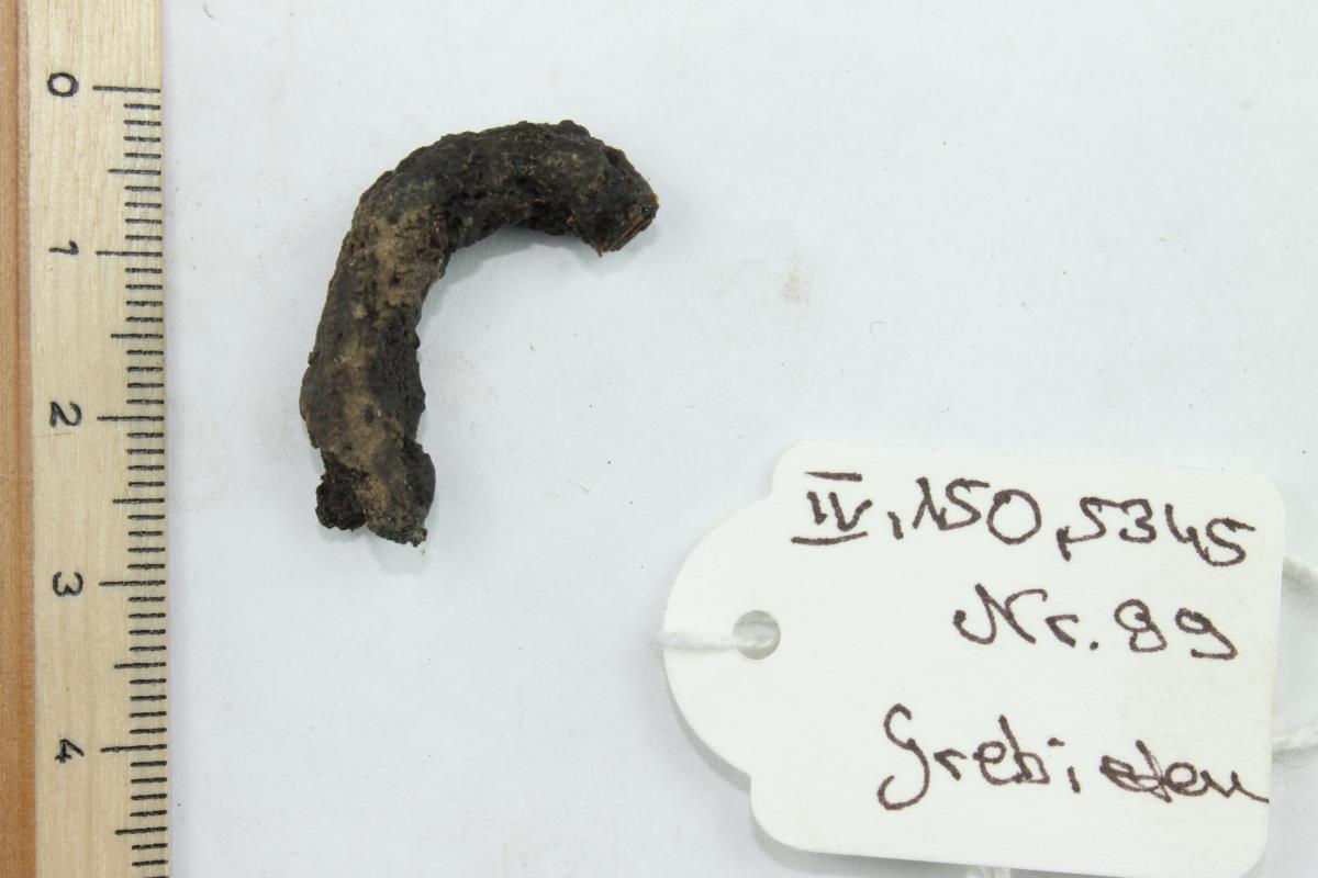 Gürtelschnallenfragment