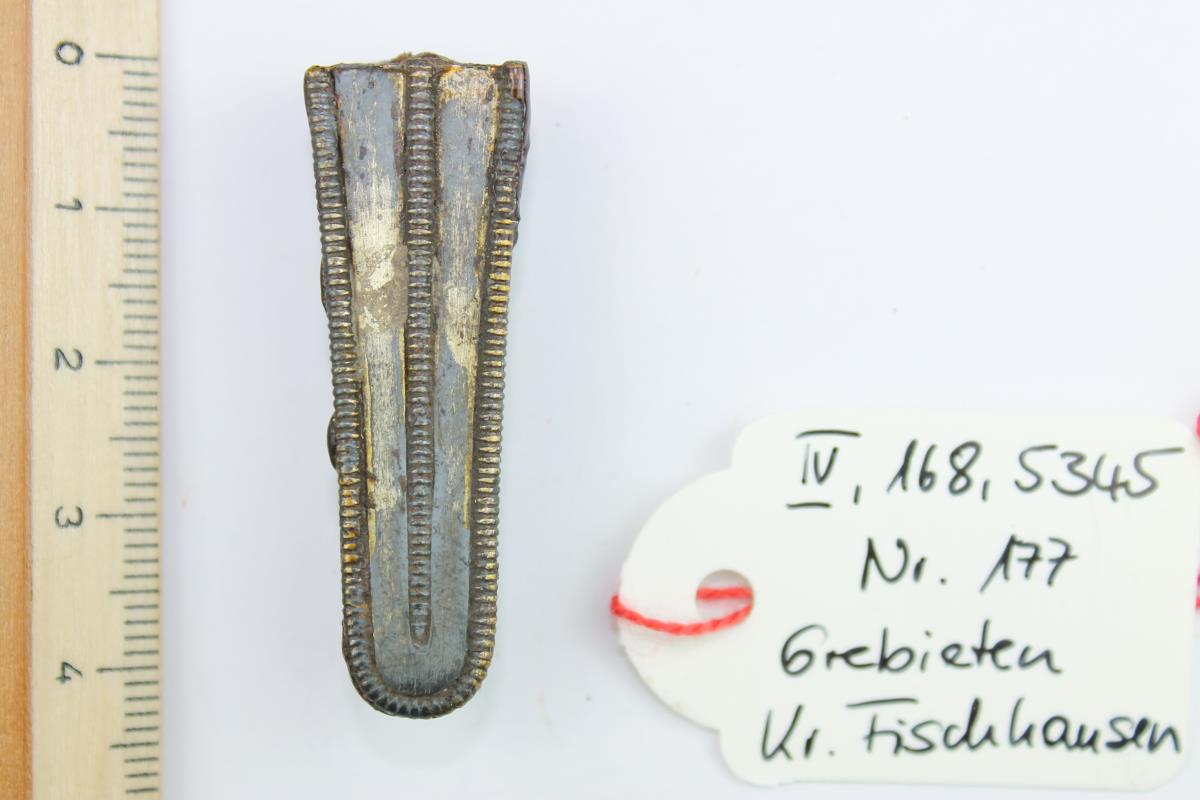 Fibelfuß