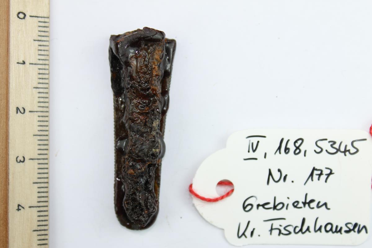 Fibelfuß