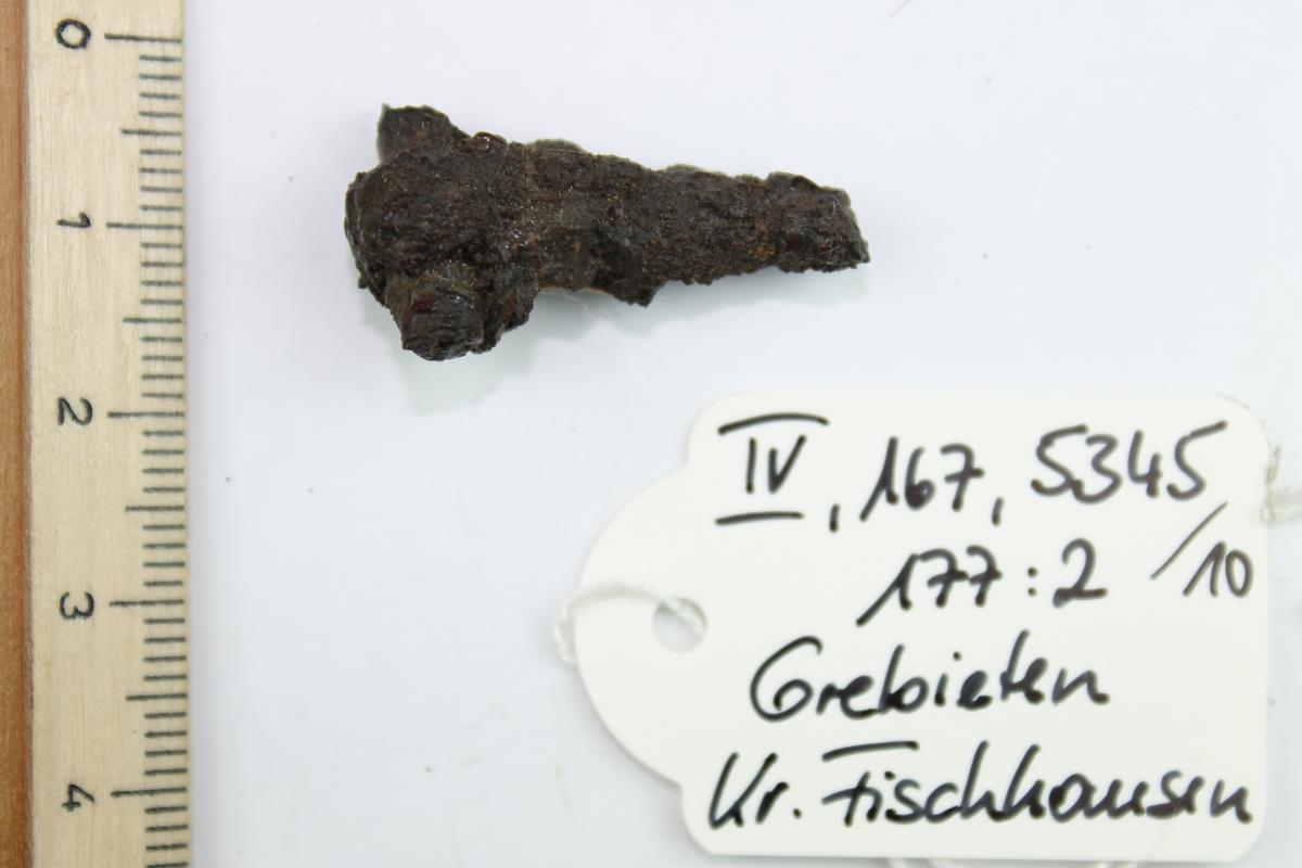 Schnallendorn