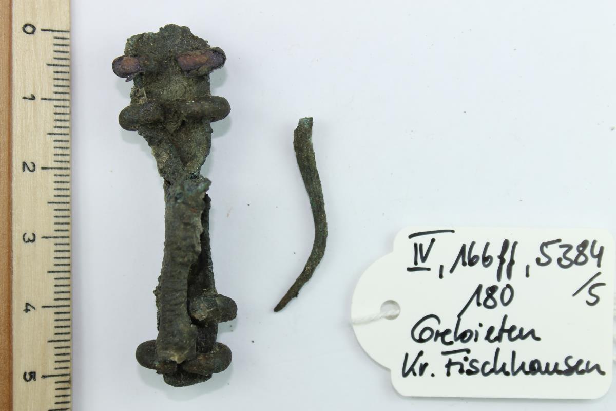 Fibelfuß