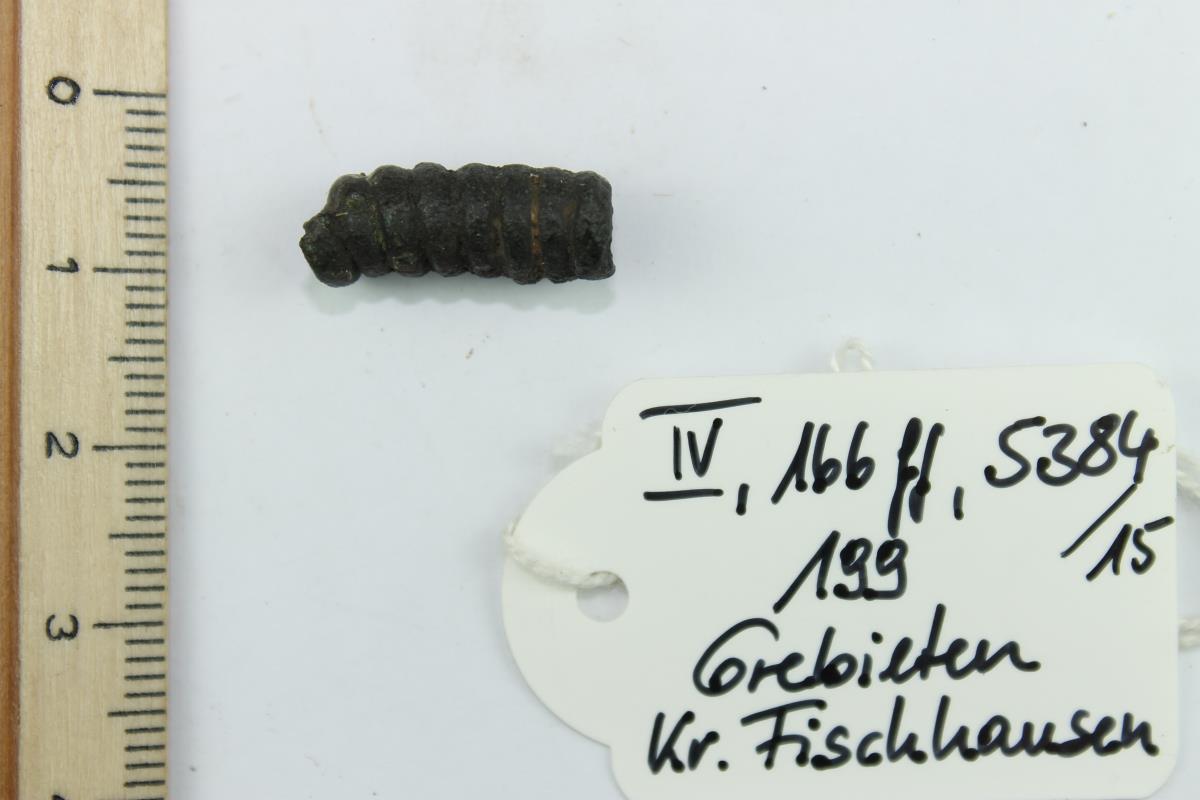 Fibelspirale