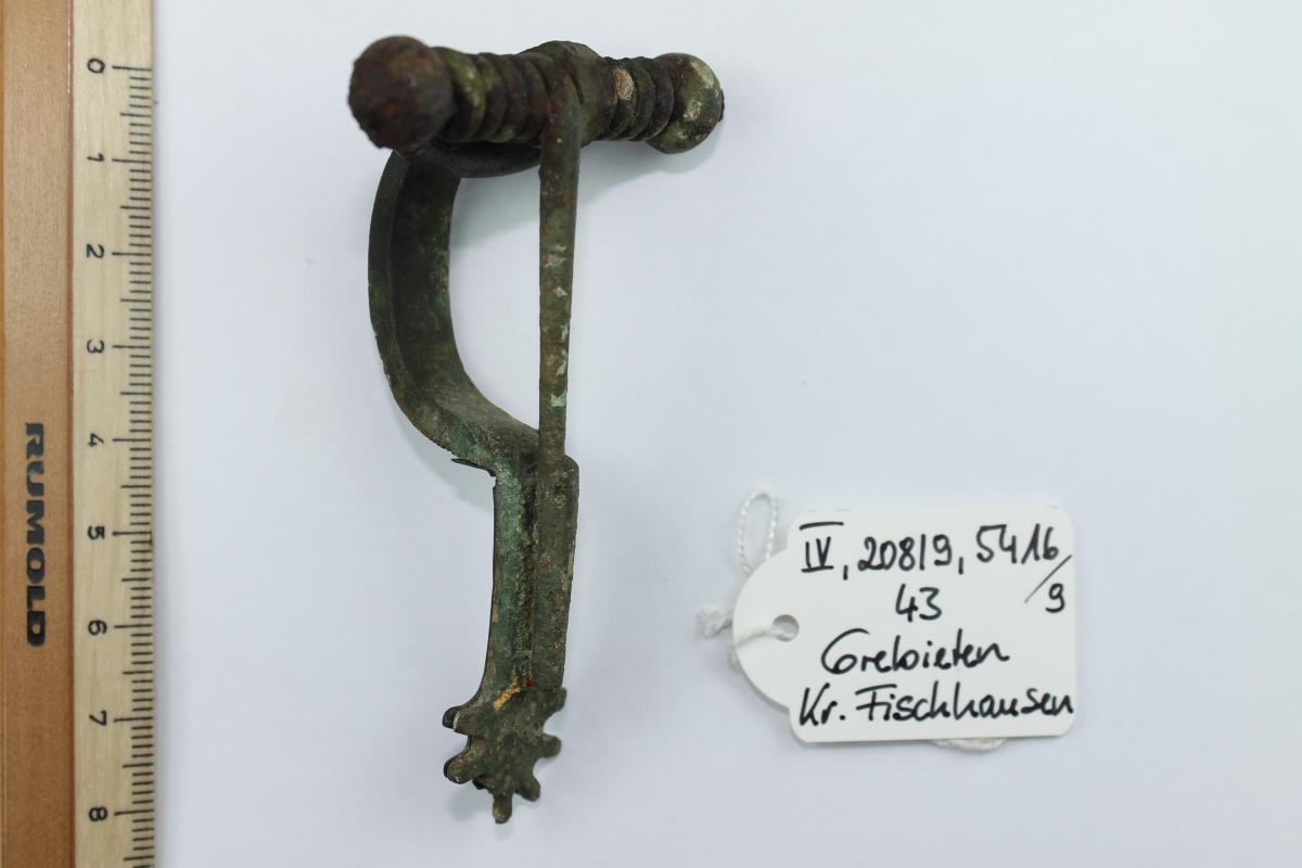 Sternfußfibel