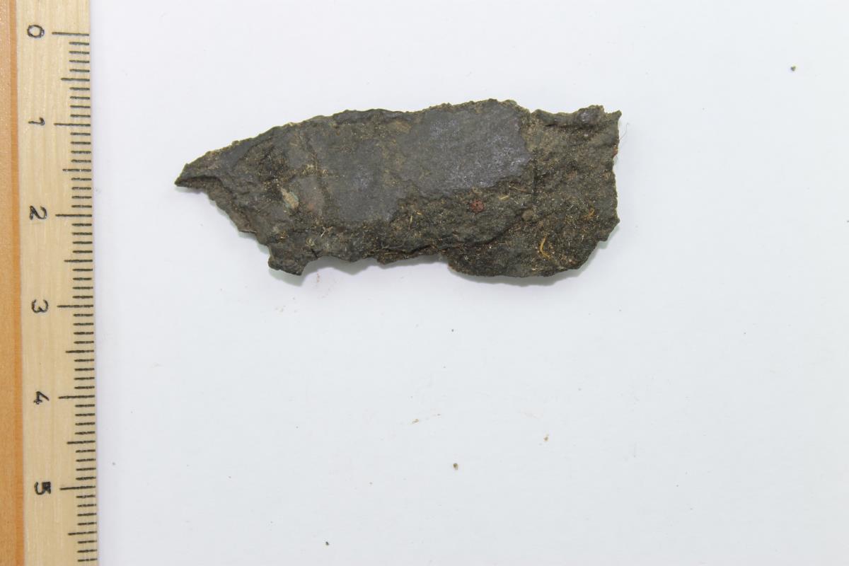Schildbuckel