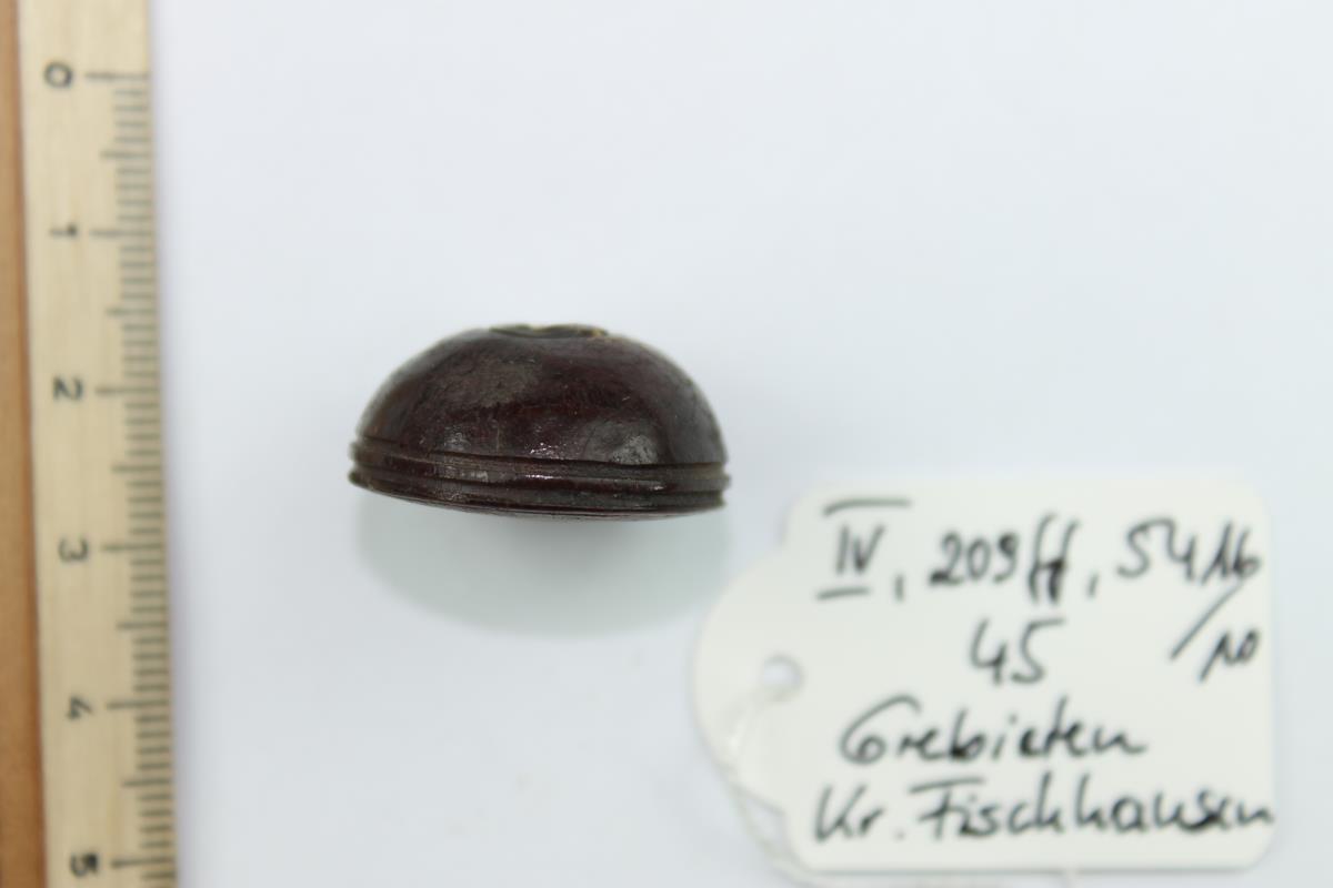 Bernsteinperle