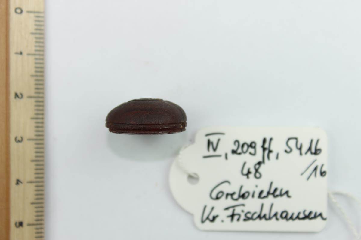 Bernsteinperle