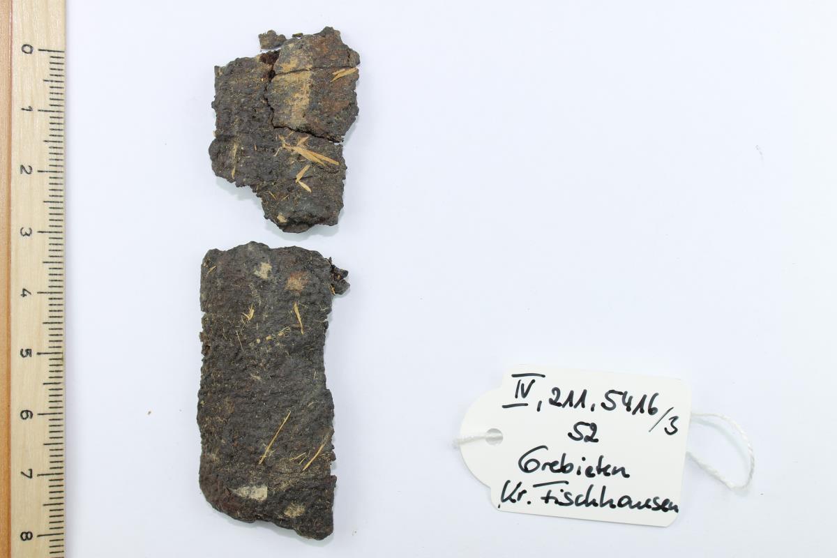 Schildfessel