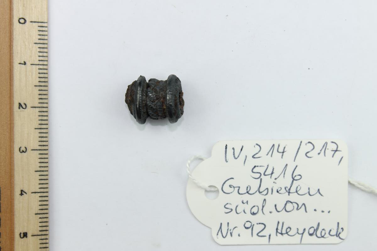 Fibelfragment