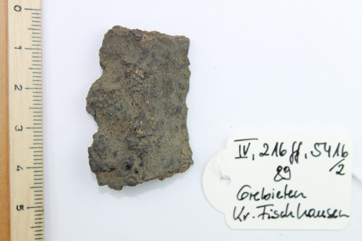 Schildfessel