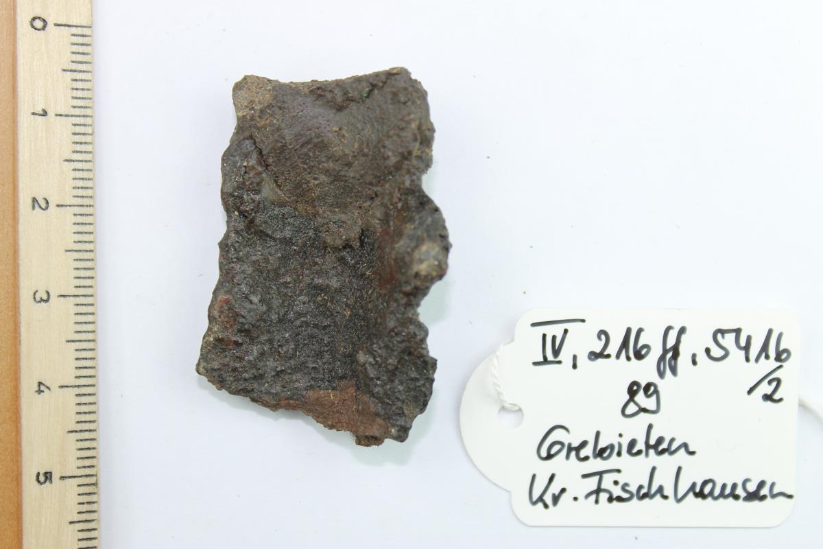 Schildfessel