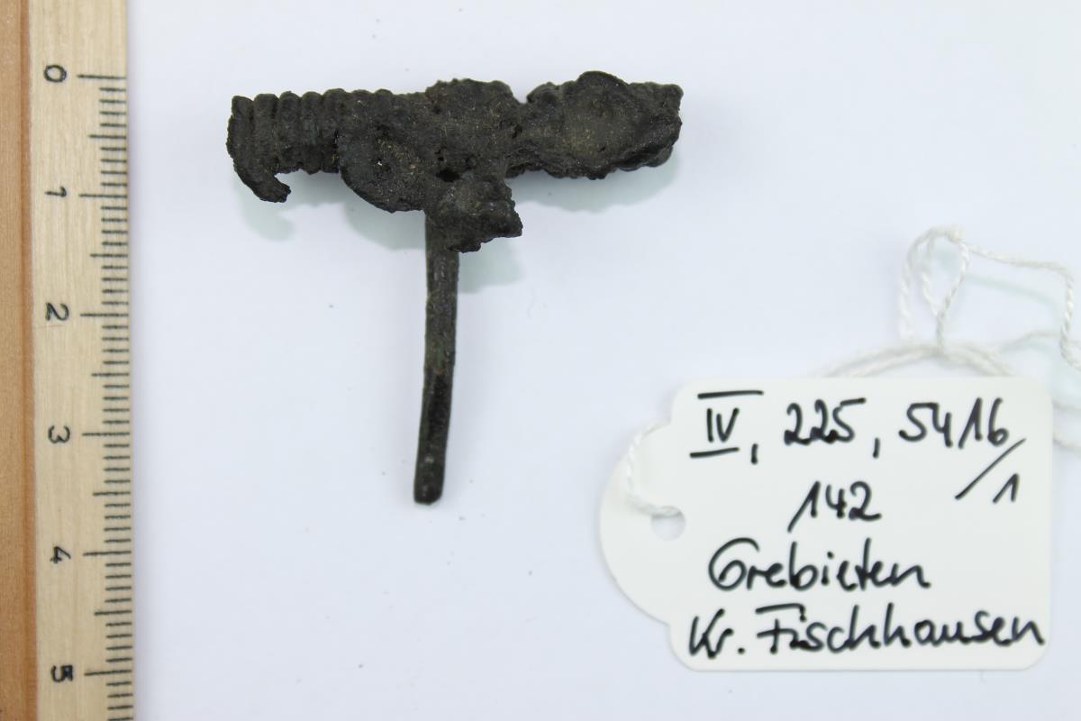 Fibelfragment