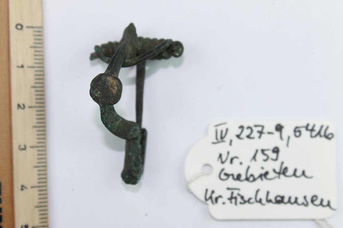 Armbrustfibel
