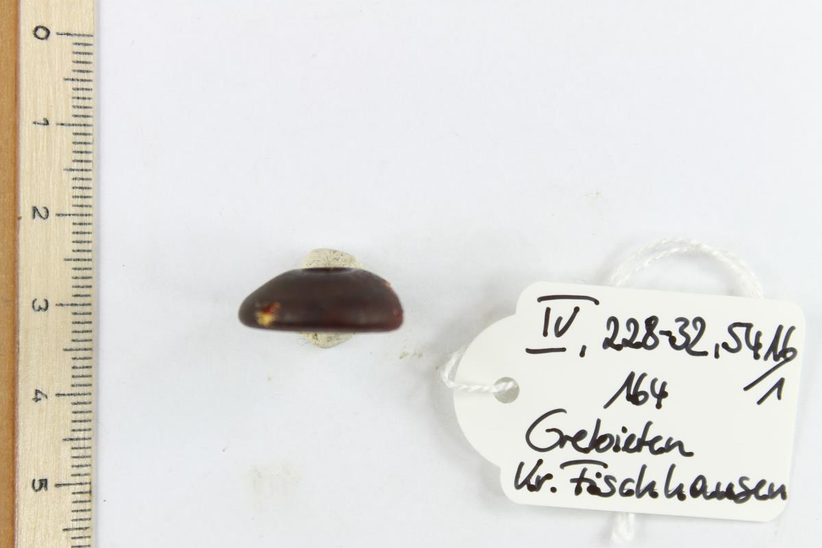 Bernsteinperle