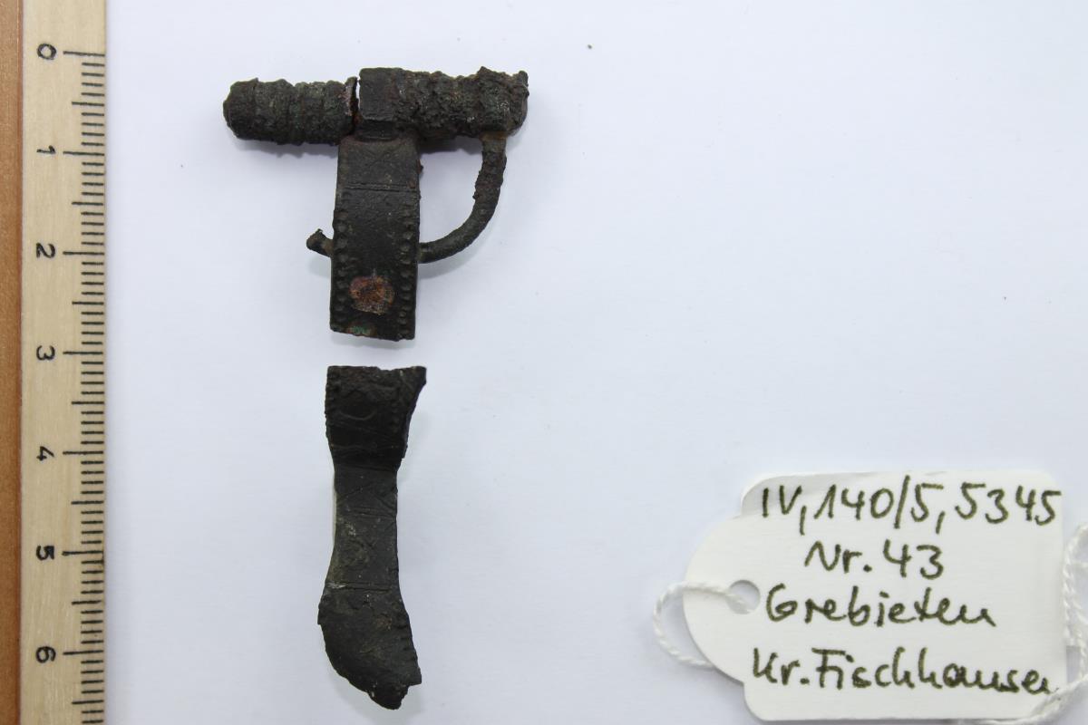 Armbrustfibel